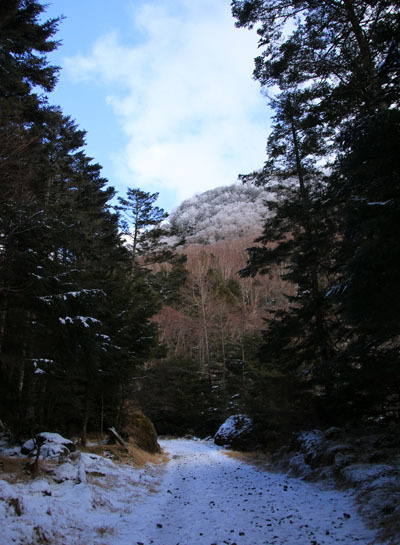 20151225yatugatake-006.jpg