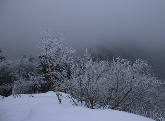 20151226yatugatake-009.jpg