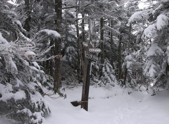 20151226yatugatake-011.jpg