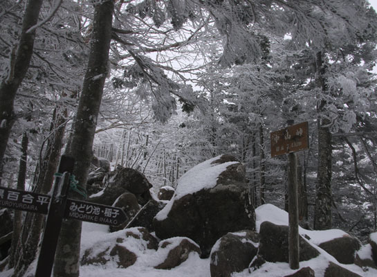 20151226yatugatake-019.jpg