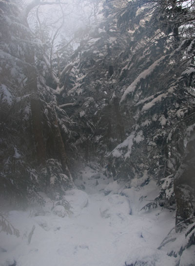 20151226yatugatake-021.jpg