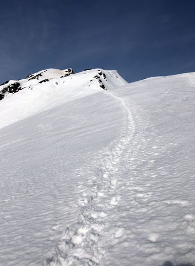 20160409karamatudake-016.jpg