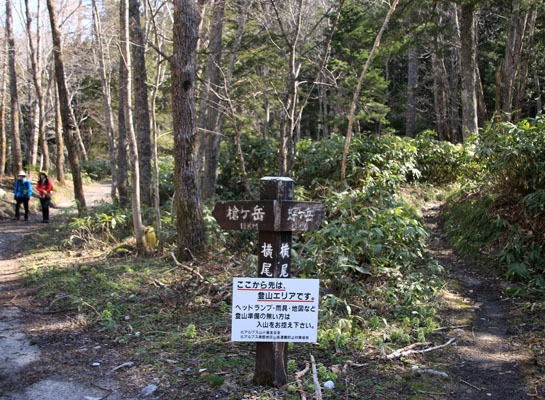 20160429chogatake-015.jpg