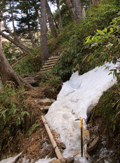 20160429chogatake-018.jpg