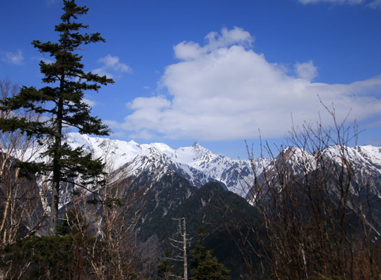 20160429chogatake-020.jpg