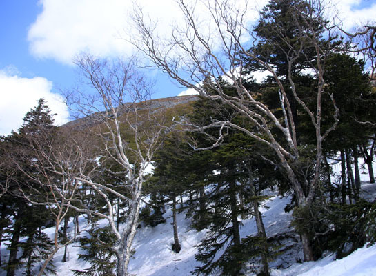 20160429chogatake-023.jpg