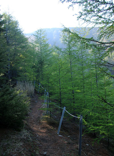 20160602amidadake-005.jpg