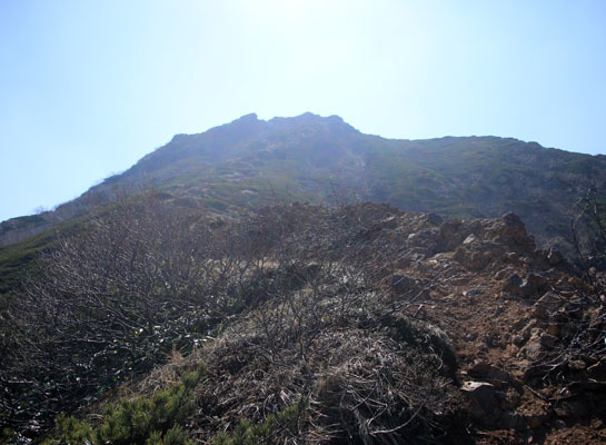 20160602amidadake-013.jpg