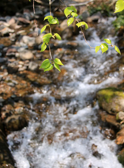 20160602amidadake-035.jpg