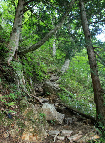 20160618tubakurodake-003.jpg
