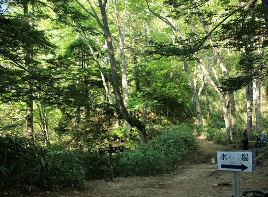 20160618tubakurodake-005.jpg