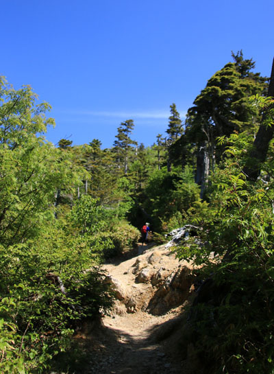 20160618tubakurodake-007.jpg