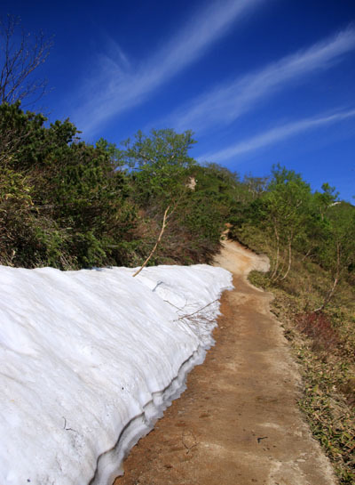 20160618tubakurodake-009.jpg