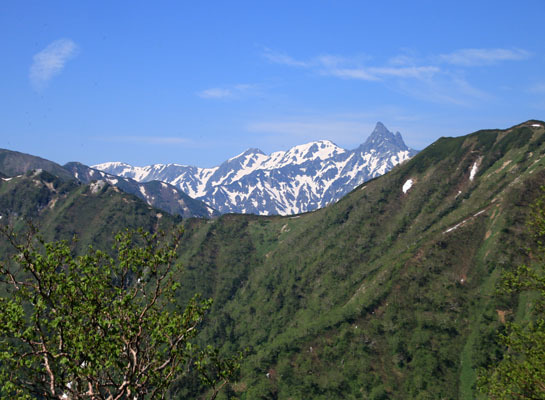 20160618tubakurodake-010.jpg