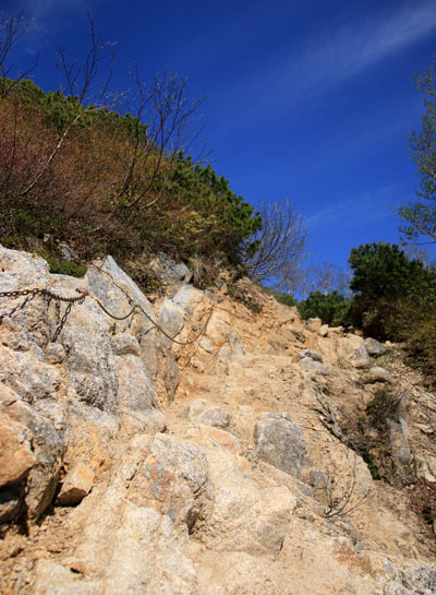 20160618tubakurodake-011.jpg