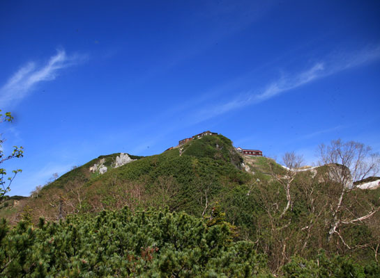 20160618tubakurodake-012.jpg