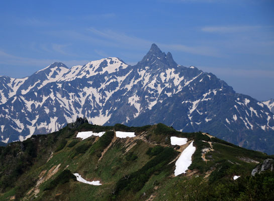20160618tubakurodake-013.jpg