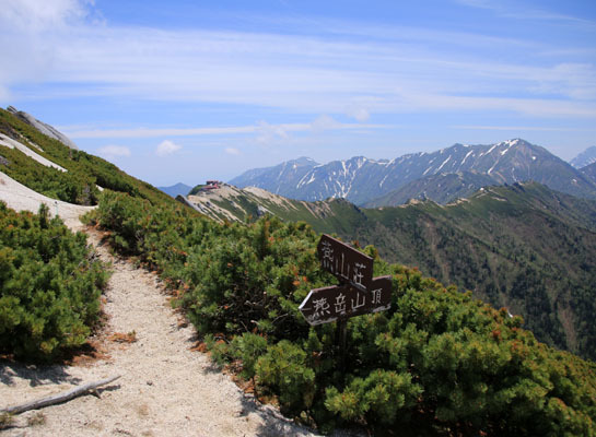 20160618tubakurodake-023.jpg