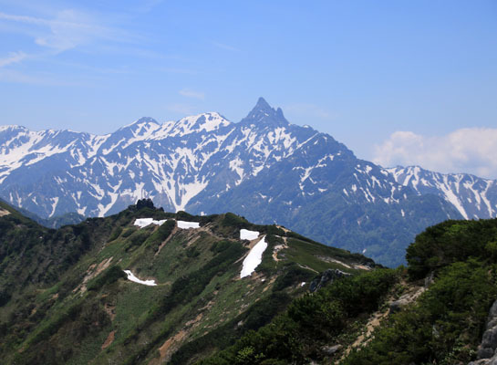 20160618tubakurodake-028.jpg