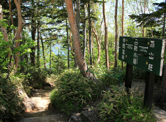 20160618tubakurodake-030.jpg