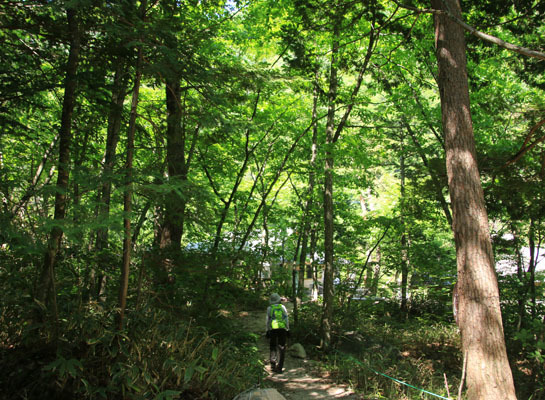 20160618tubakurodake-032.jpg