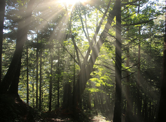 20160804hijiridaira-007.jpg