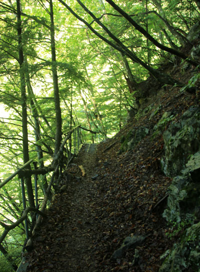20160804hijiridaira-008.jpg