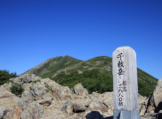 20160806nikengoya-020.jpg