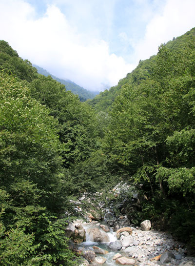 20160902funakubogoya-006.jpg