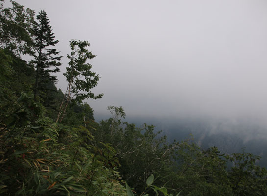 20160902funakubogoya-025.jpg