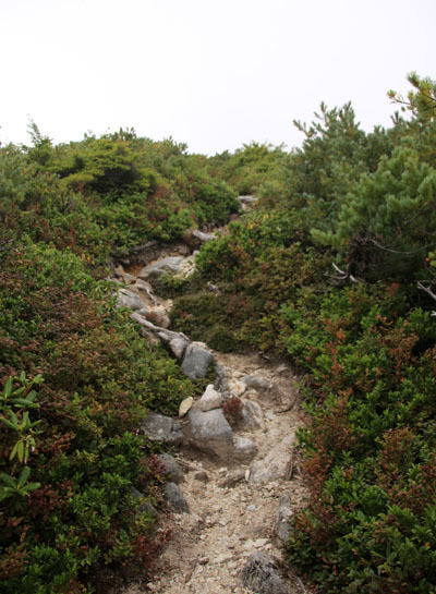 20160902funakubogoya-027.jpg