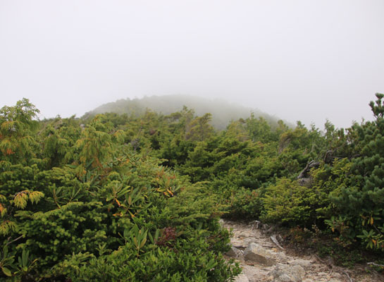 20160902funakubogoya-029.jpg