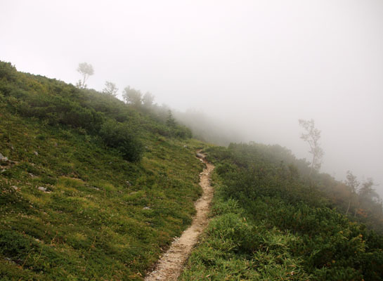 20160902funakubogoya-031.jpg