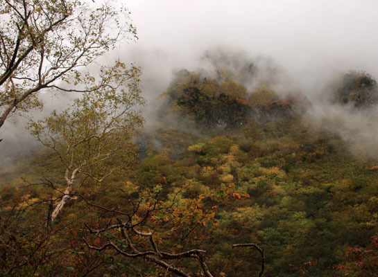 20161002karasawa-004.jpg
