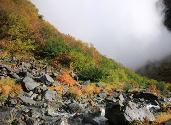 20161002karasawa-009.jpg