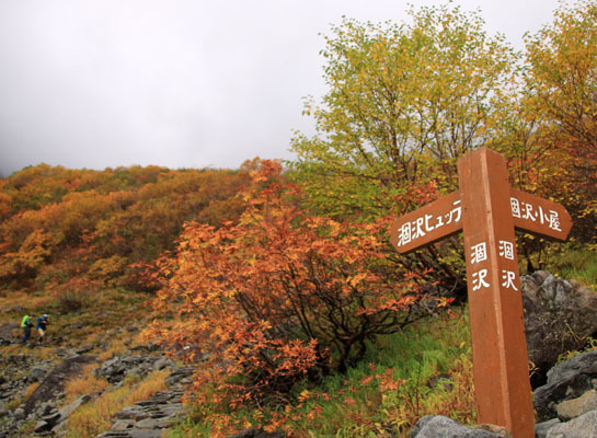 20161002karasawa-011.jpg
