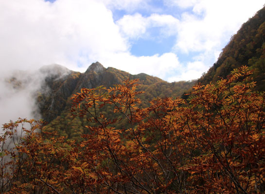 20161002karasawa-016.jpg