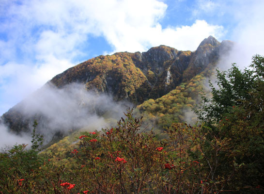 20161002karasawa-017.jpg