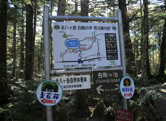 20161007mugikusatouge-005.jpg