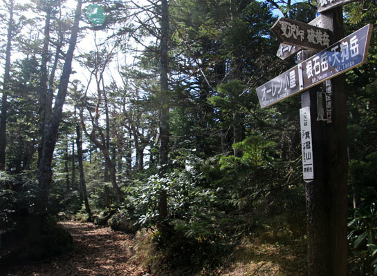 20161007mugikusatouge-026.jpg