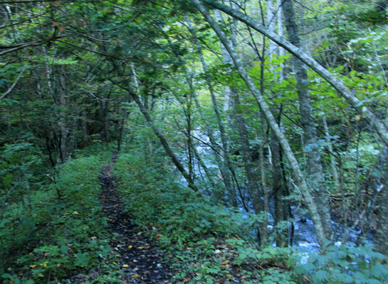 20161015tokugotouge-004.jpg