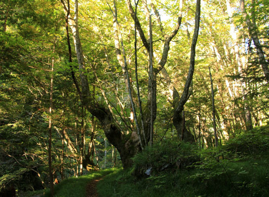 20161015tokugotouge-007.jpg