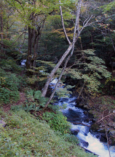 20161015tokugotouge-010.jpg