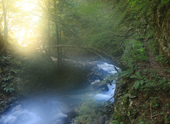 20161015tokugotouge-012.jpg