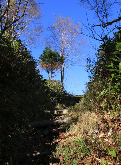20161015tokugotouge-022.jpg