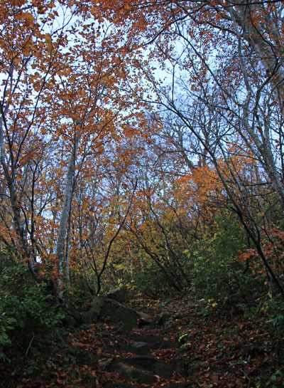 20161104amakazariyama-004.jpg