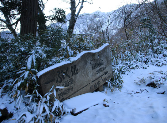 20161104amakazariyama-013.jpg