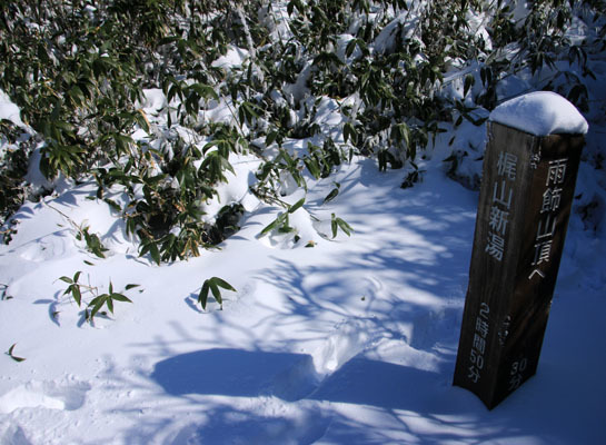 20161104amakazariyama-044.jpg