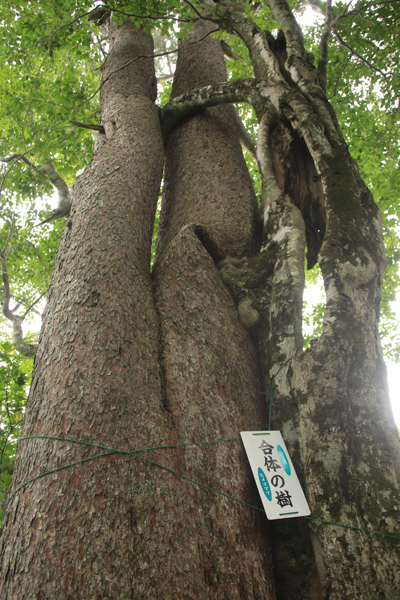 20170915ooasahidake-008.jpg