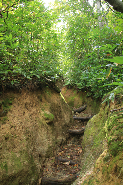 20170915ooasahidake-012.jpg